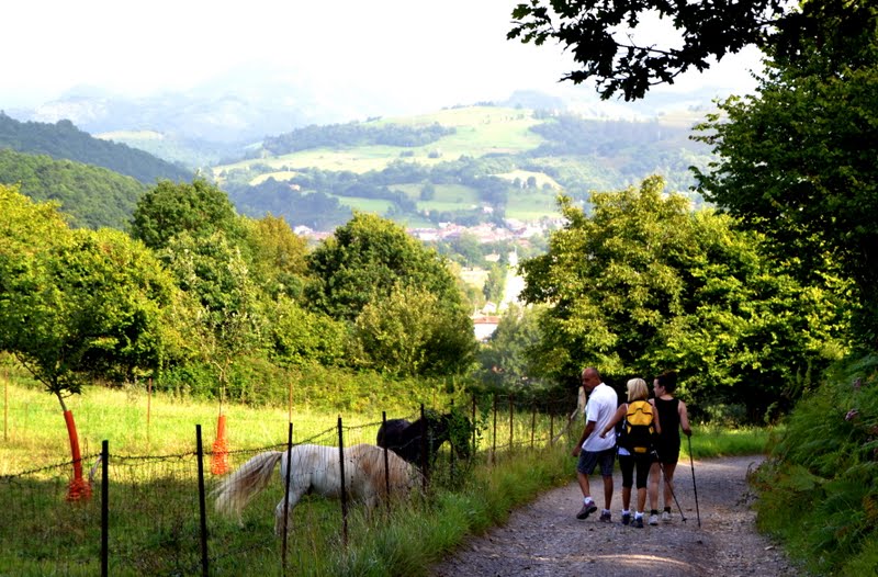 El Camino de Santiago desde Asturias De "La Villa" a Cangas de Onís