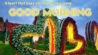 good morning good morning