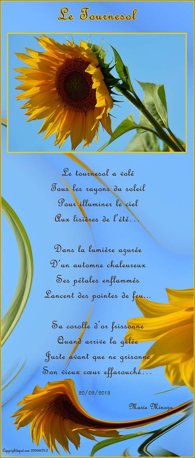 Au pays des images et des mots Poème&hellip;Le Tournesol&hellip;