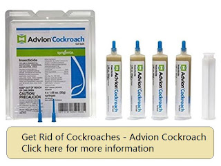 Advion Cockroach
