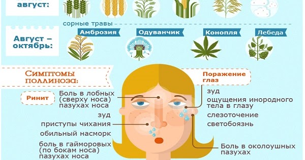 Как проявляется аллергия на цветение. Поллиноз Сенная лихорадка у детей. Аллергическая реакция на пыльцу растений. Сенная лихорадка поллиноз симптомы. Поллиноз (аллергия на пыльцу).