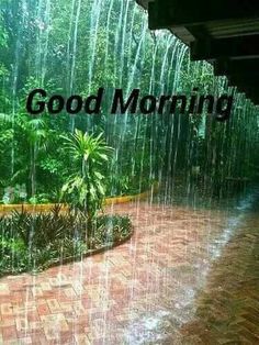 gd mrng coffee images