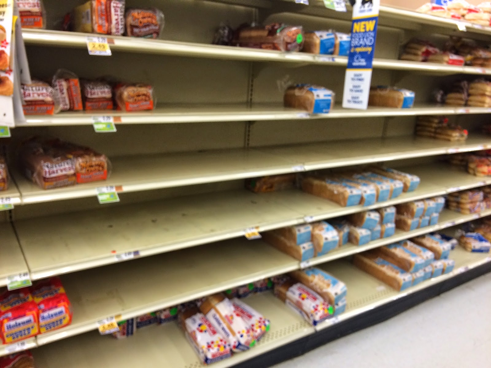 Salisbury News Food Lion, Nanticoke Rd, Salisbury Md last night from