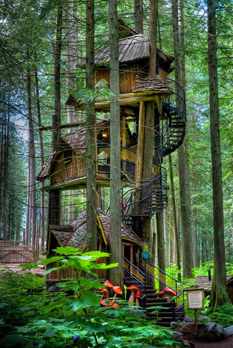 Canada - 10 Of The Wildest Tree House Locations