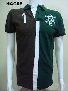 HAC05.jpg