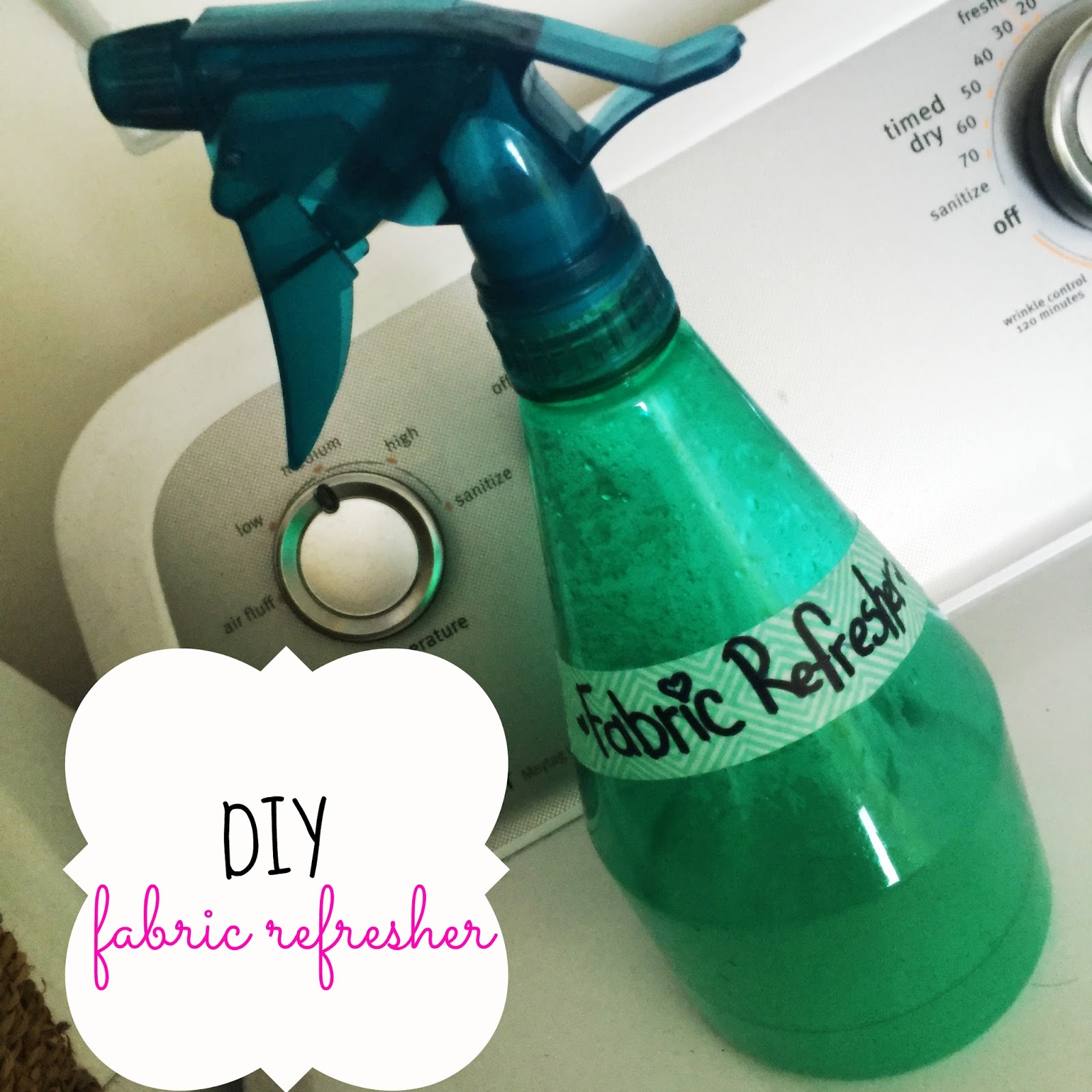 Courtney Martin Blog DIY Fabric Refresher