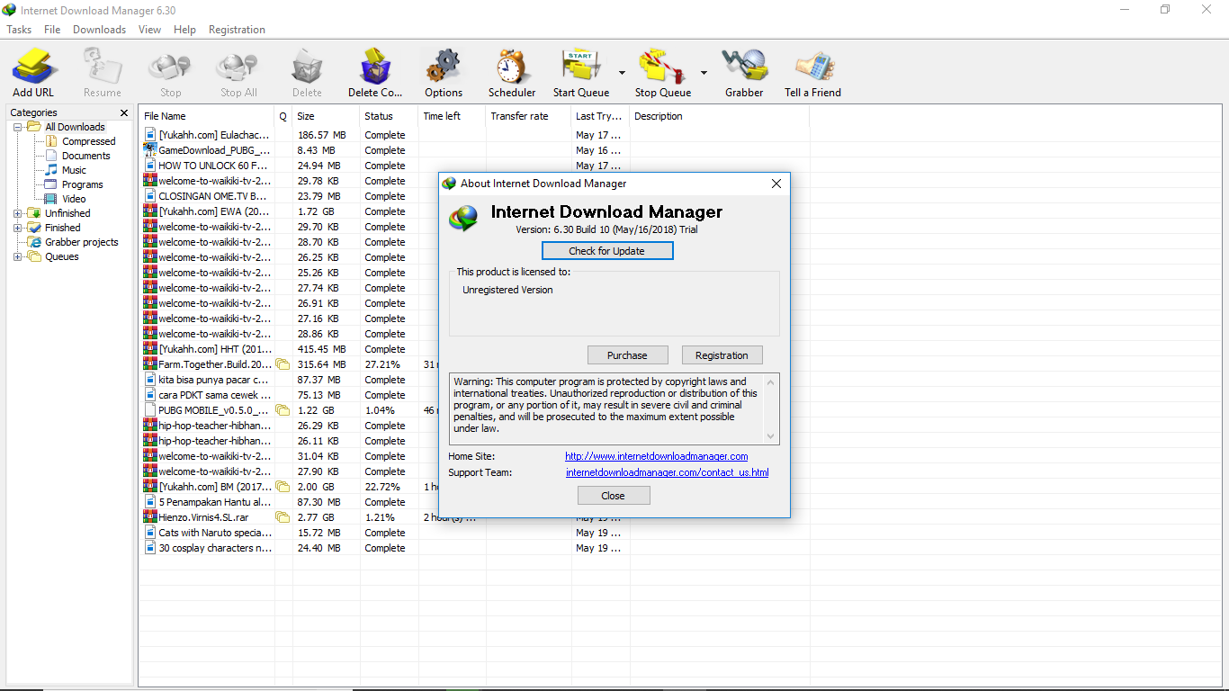 Download Internet Download Manager Portable 6.30 build 10 Full Version