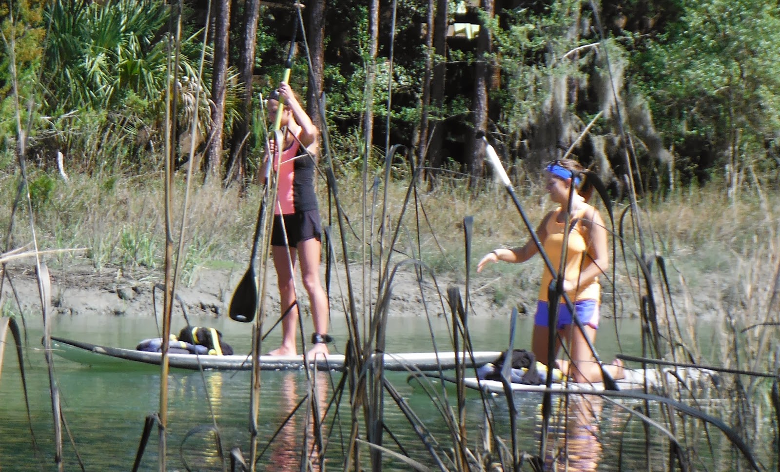 Atlantic Paddle Surfing First trips down in Harbour Town