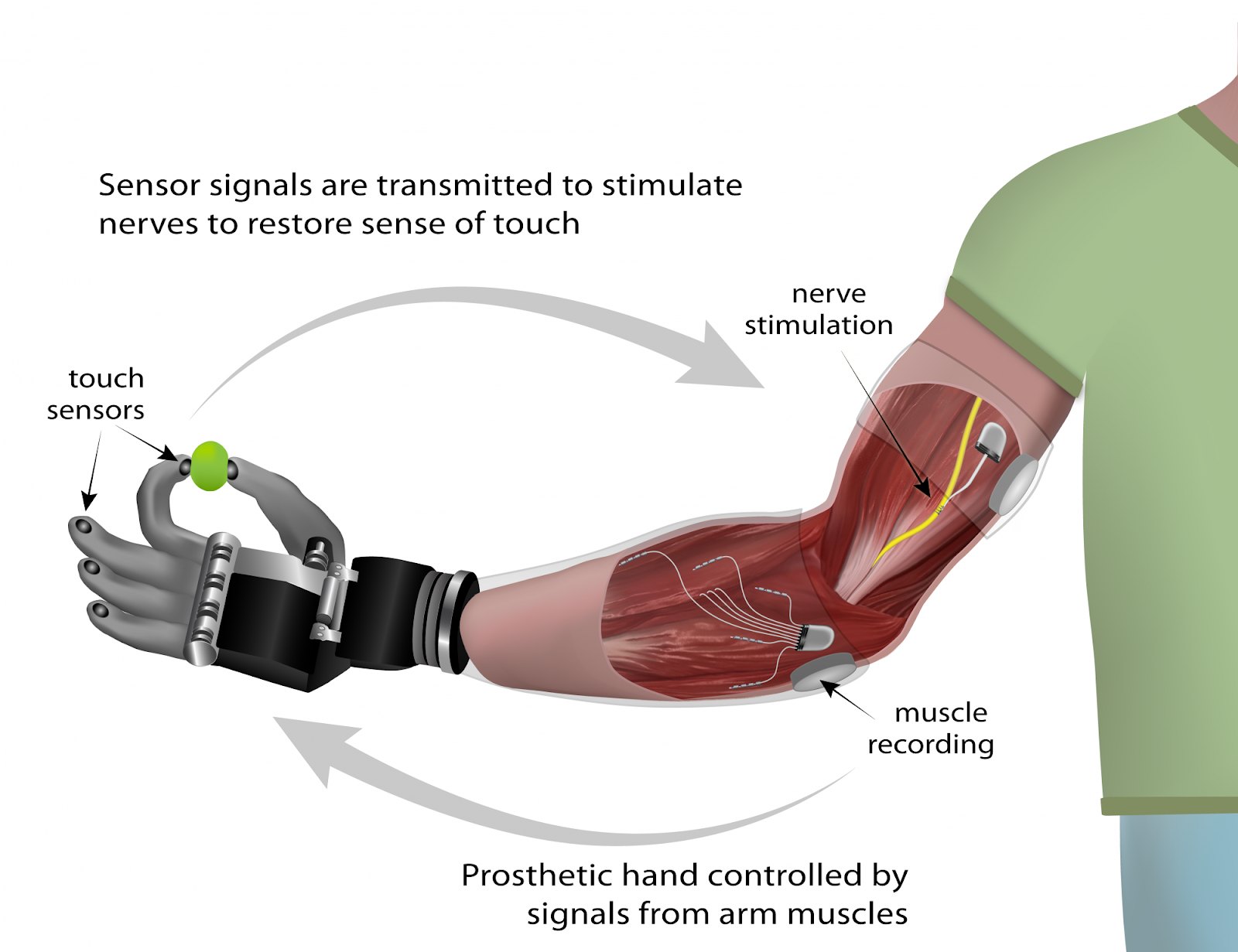 Эргономика ассистента стоматолога. Принцип работы руки работа. Принцип работы полупроводникового тиристора. Струйная печать схема работы. Шарнирные роботы манипуляторы схема.