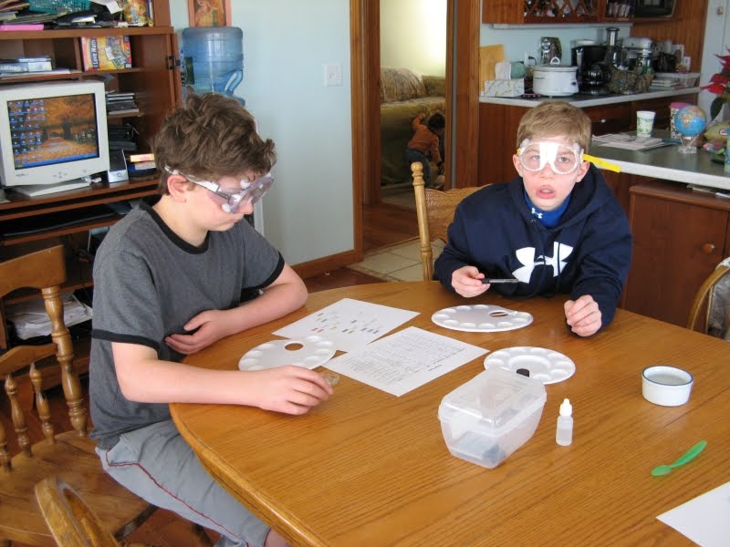 At Home Science Crime Busters