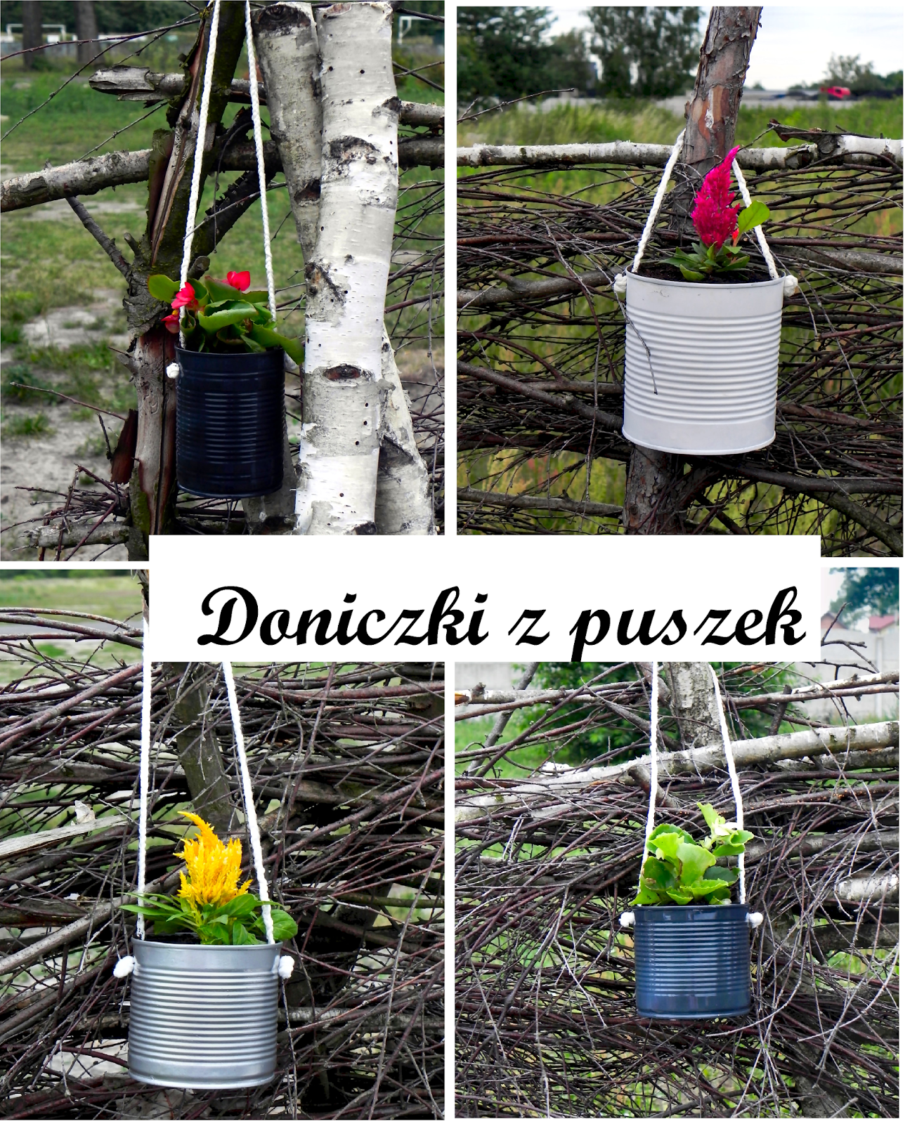 My Little Doniczki z puszek