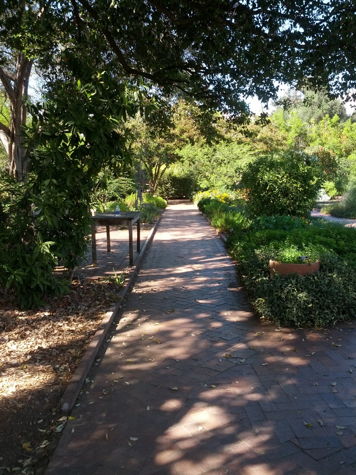 Rikachuuable Huntington Beach Botanical Gardens