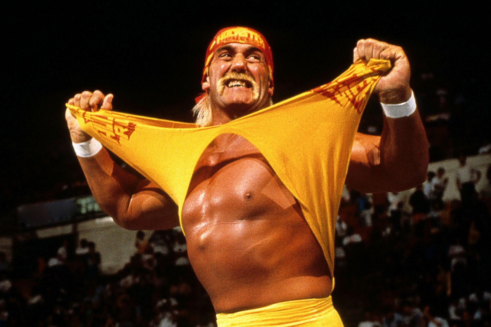 Hulk Hogan Online Wrestling Hulk Hogan Online Wrestling