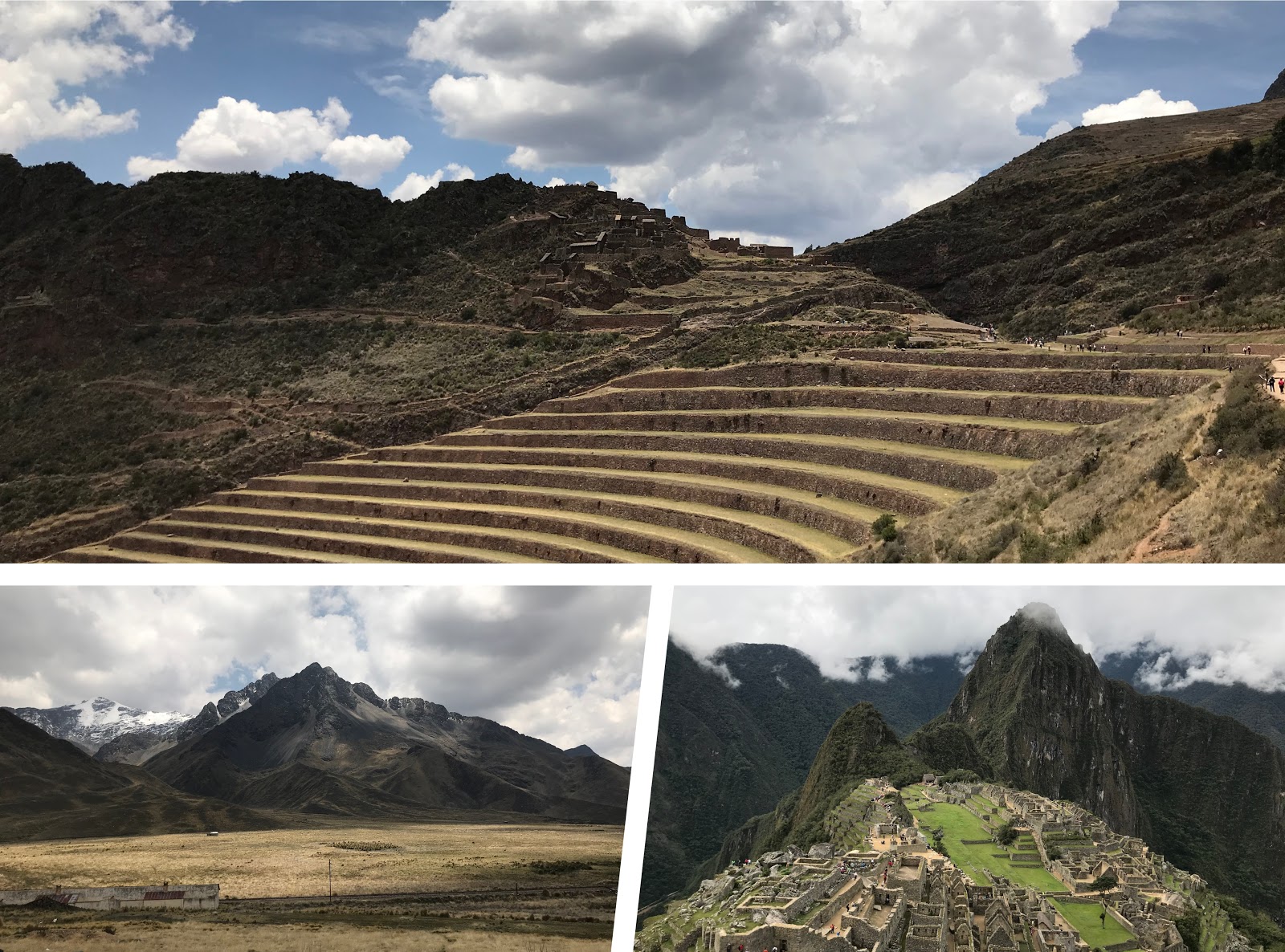 opi-peru