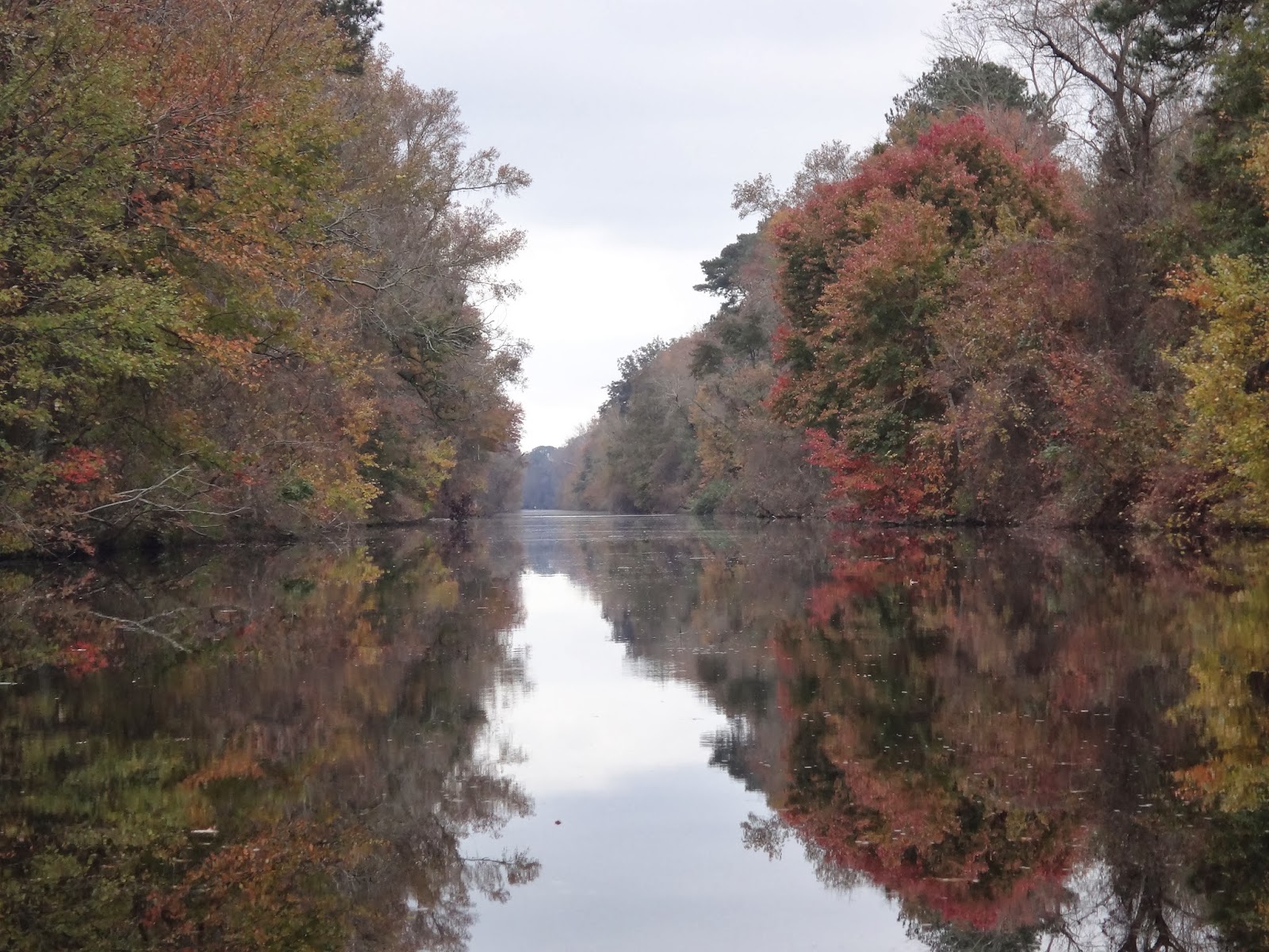 Adventure Kayak Tours Kayak Camping Lake Drummond, Chesapeake Va.
