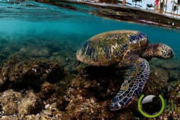 6 Negara Dengan Larangan Menyentuh Sesuatu
