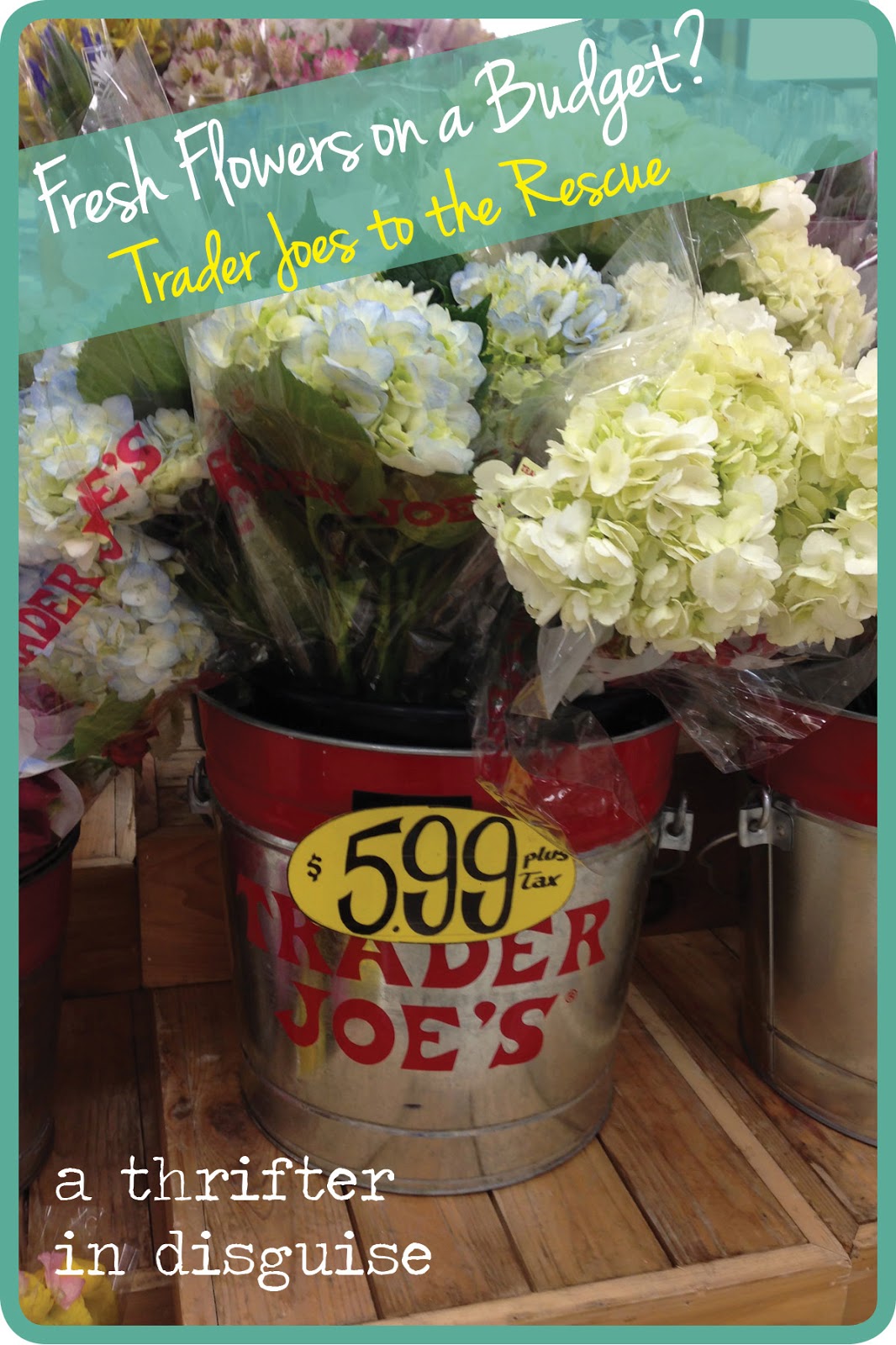 Margrethe Larsen Bulk Flowers Trader Joe's A tropical birthday cake