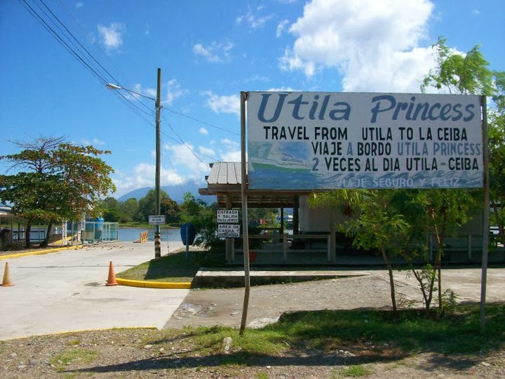 Amazing place Utila a Beautiful tropical island for tourism