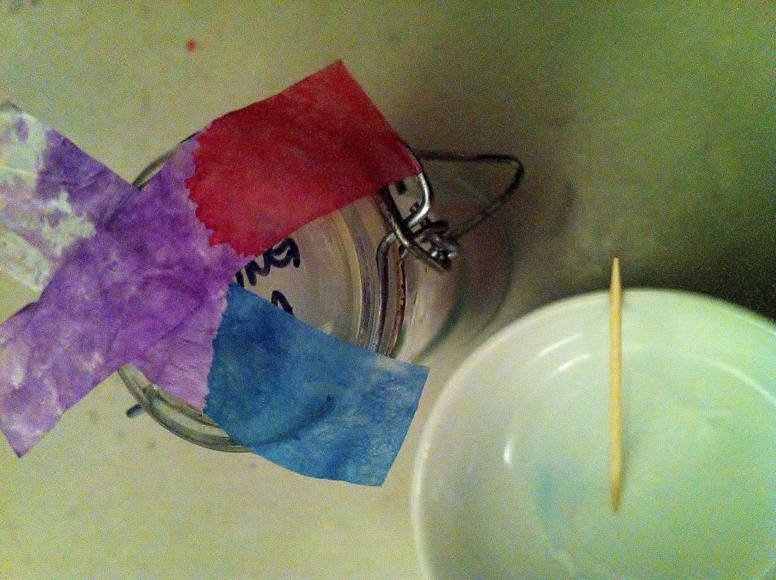 Space Matters DIY Cabbage Litmus Paper