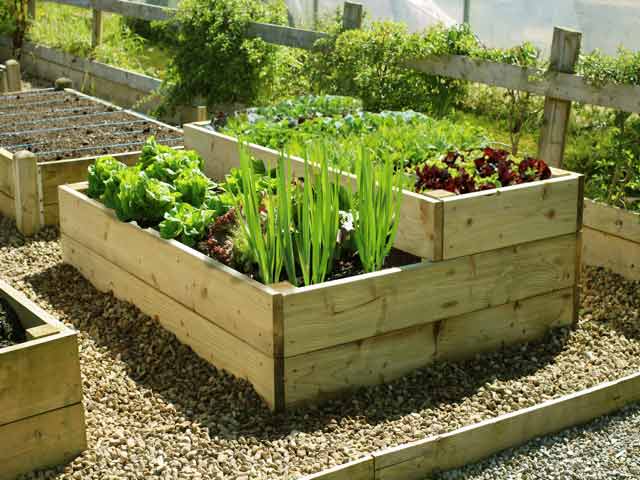 Raised Bed Part Two Inspiration Thursday, How To Make A Tiered Raised Garden Bed