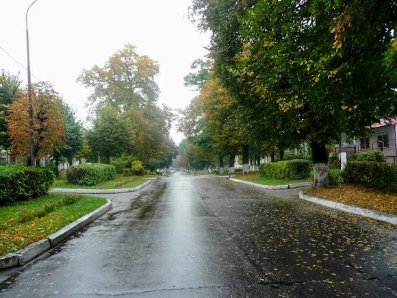 Сокаль. Улица Шептицкого Сокаль. Улица Шептицкого