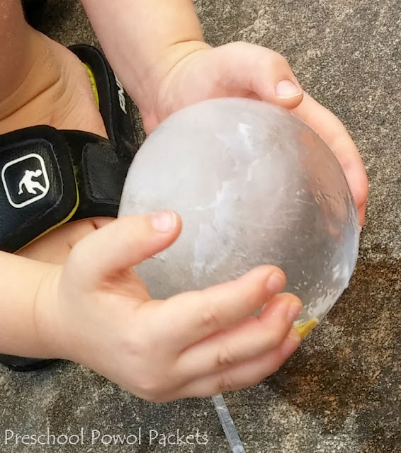 dinosaur egg experiment