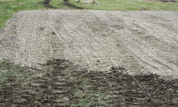 The Small Hold - Will Not Go Down Without a Fight: Gloomy Day. Rain ...