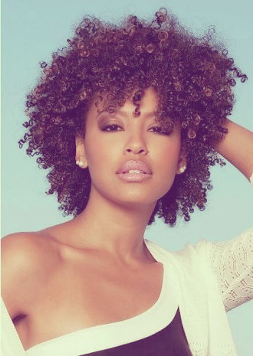 African American Hairstyles Trends and Ideas : Hairstyles ...