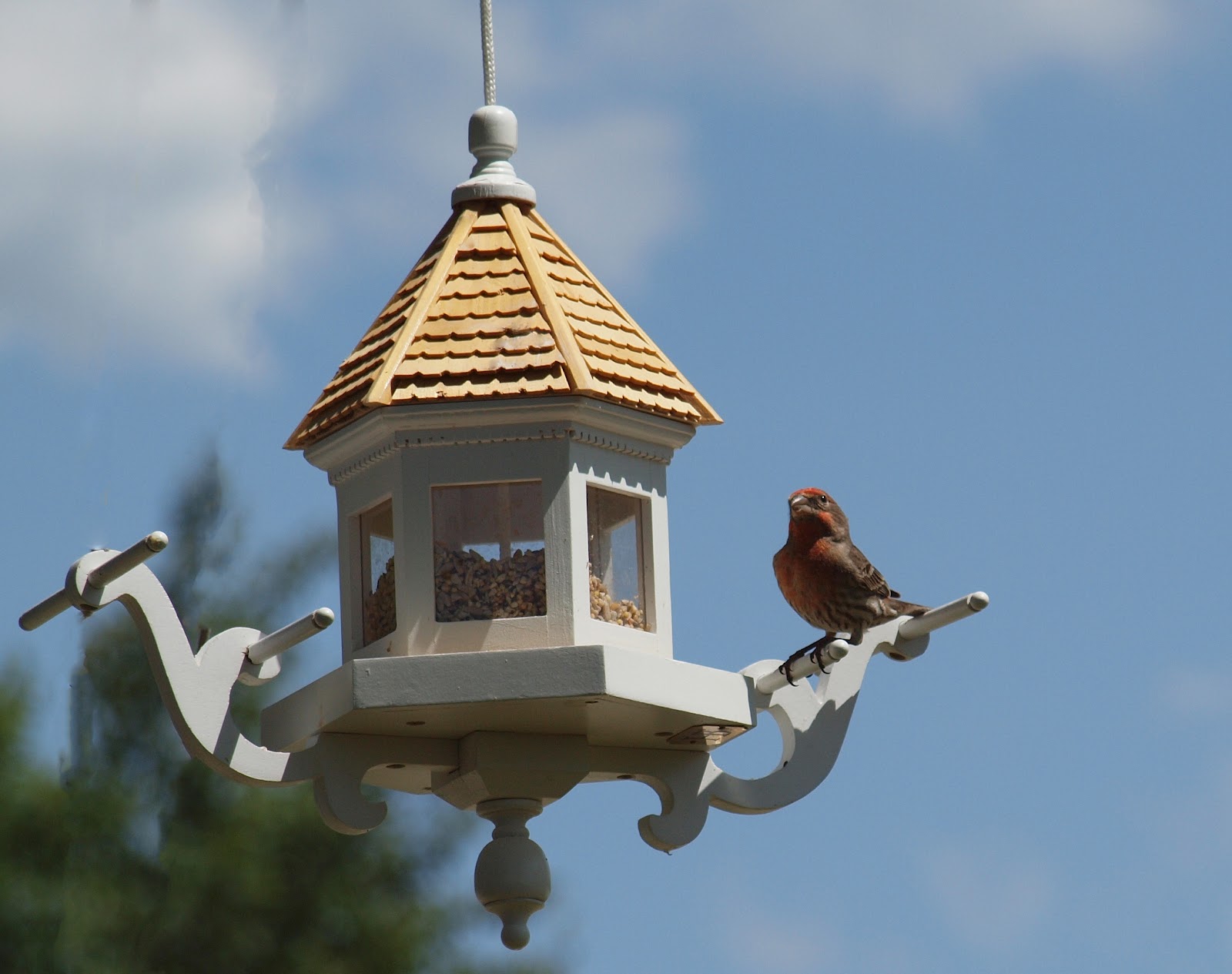 hanging bird feeder plans