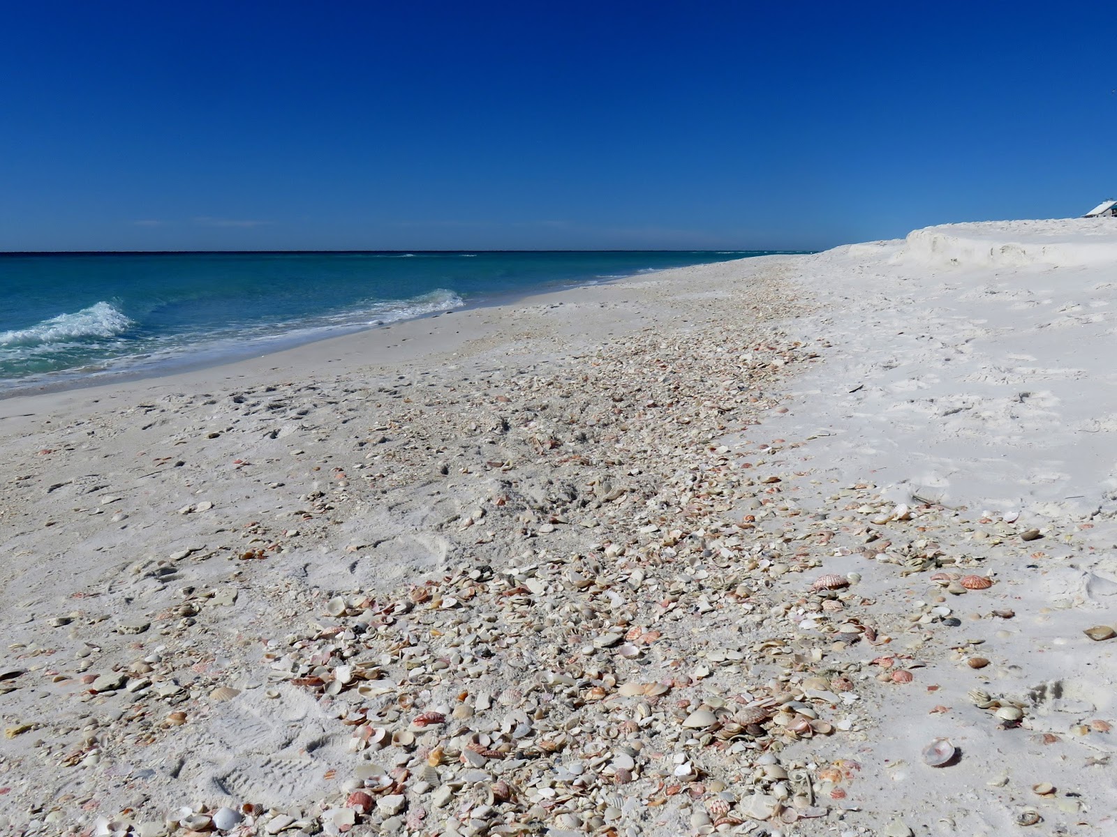I DIG THE BEACH: March 2018 Shelling in Navarre Florida