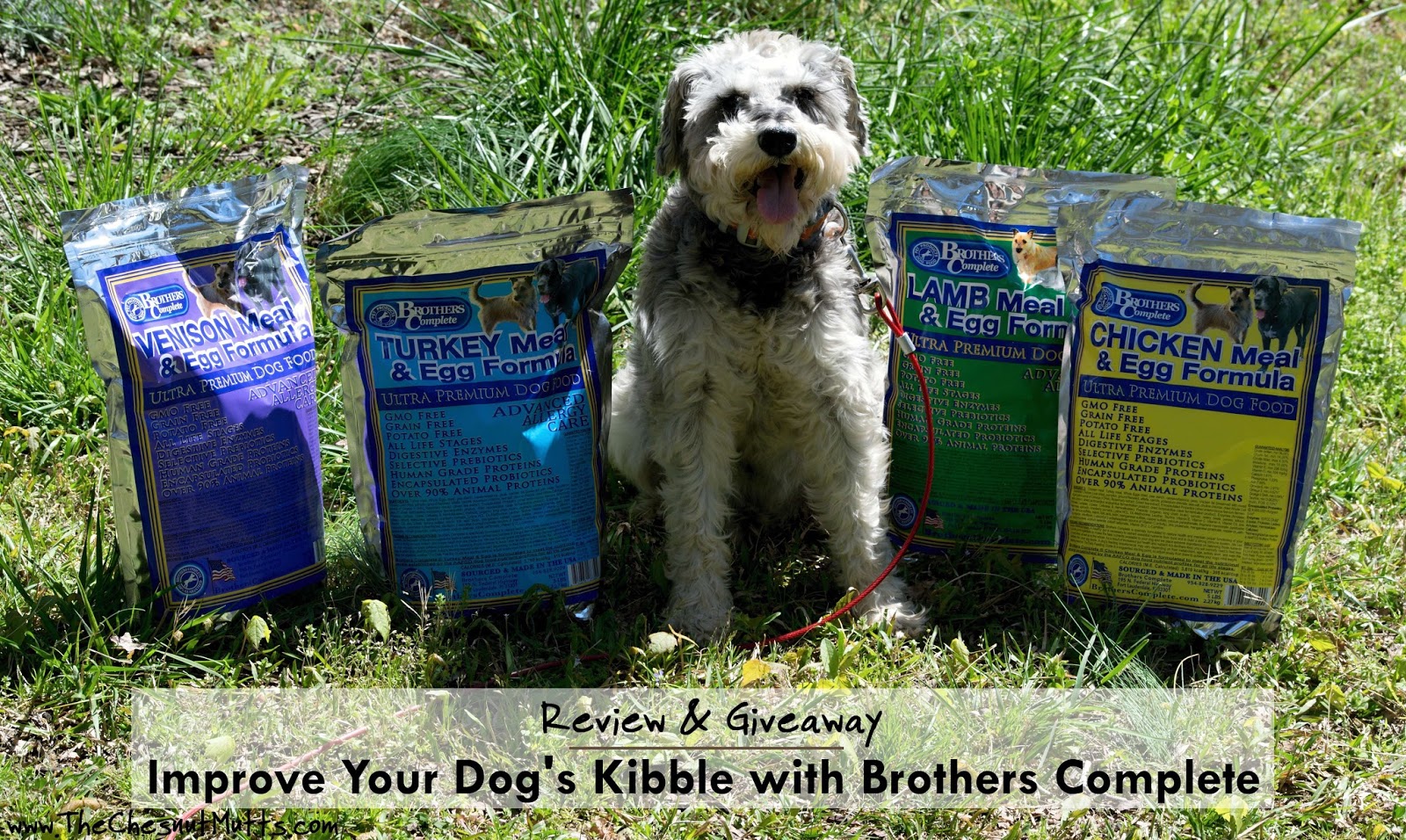 Review & Giveaway Improve Your Dog's Kibble with Brothers Complete