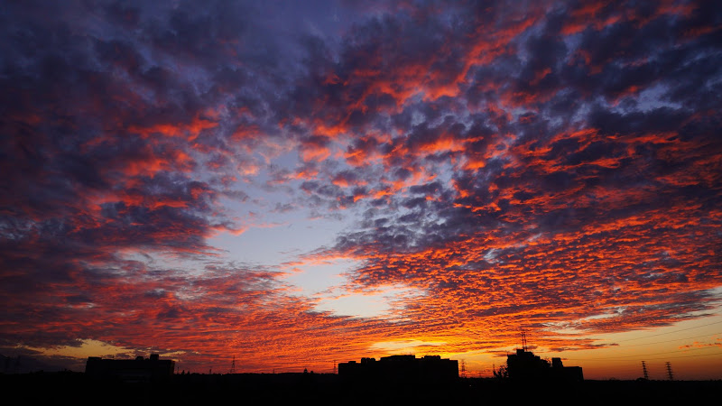 The Sky is on Fire
