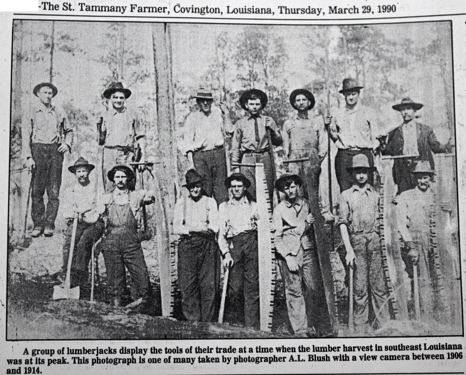 Tammany Family The History of Folsom