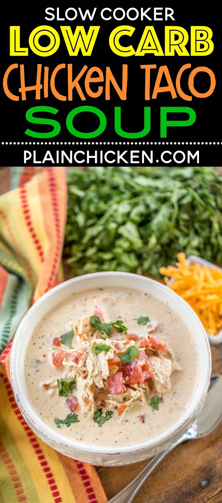Slow Cooker LOW CARB Chicken Taco Soup Plain Chicken®