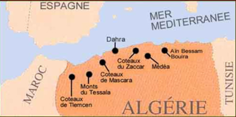 ellos agudo Ver a través de Club des Dégustateurs de Grands Vins: Les vins d'Algérie de retour au Québec