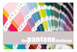 The pantone challenge