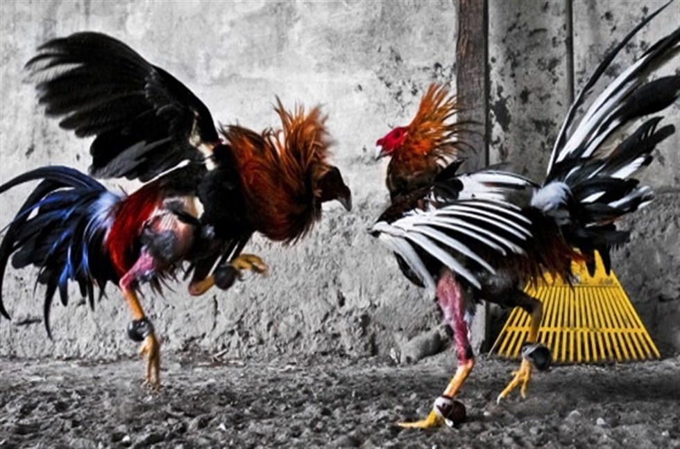 Efemérides de San Fernando de Henares. 3 de junio. Desarticulada una