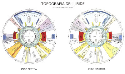 mapa iris mapa iris