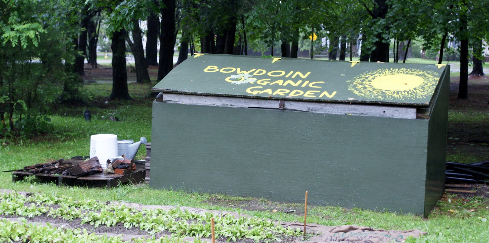 Social Shutter Organic Bowdoin