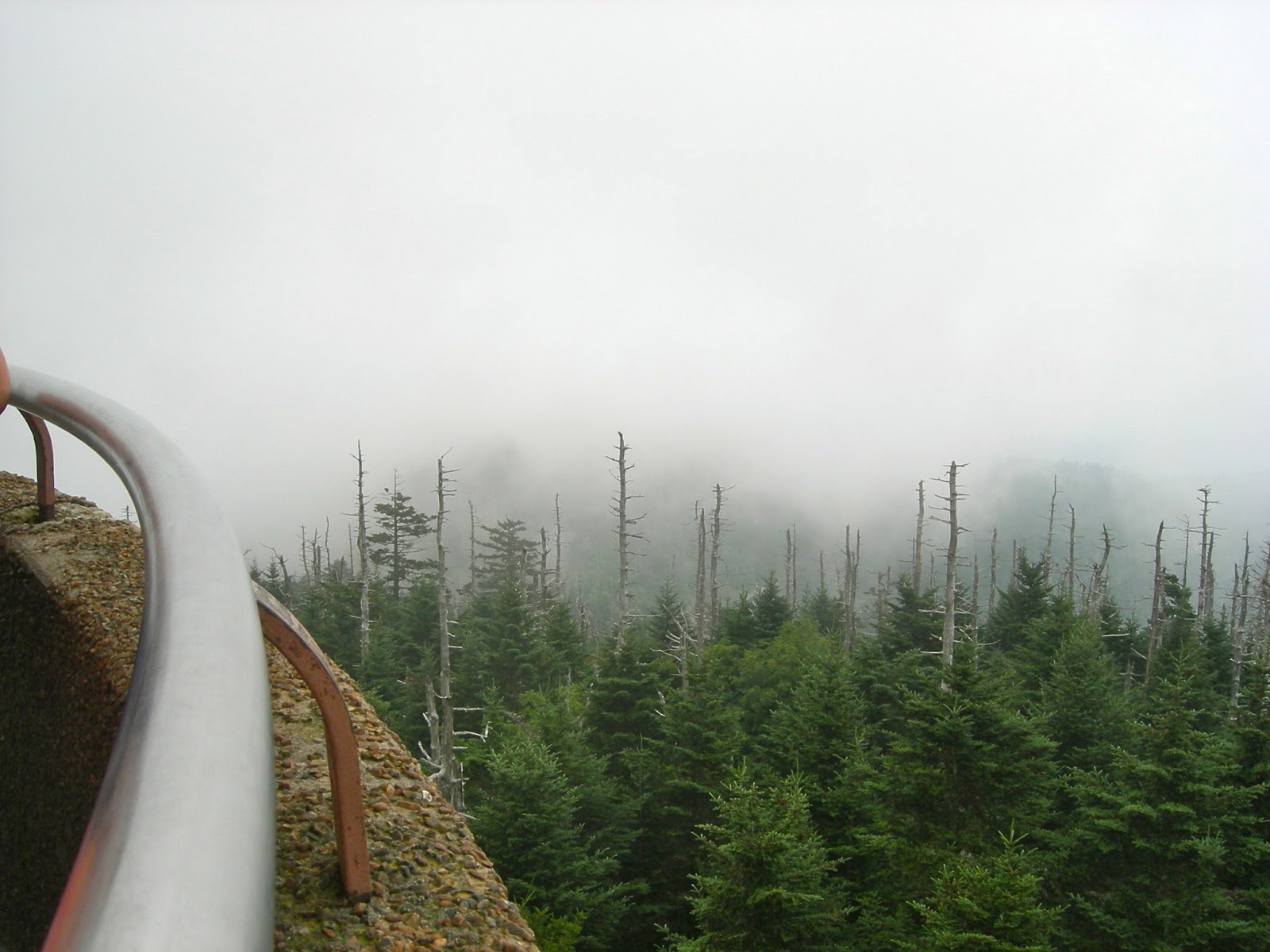 Clingman's Dome Hike - Smoky Mountains Clingman's Dome Hike - Smoky Mountains