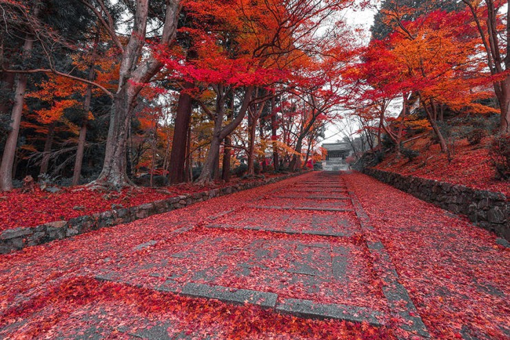 9. Kyoto, Japan - 29 Wonderful Paths