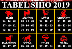 Draw Live Sgp Drawing With Crayons