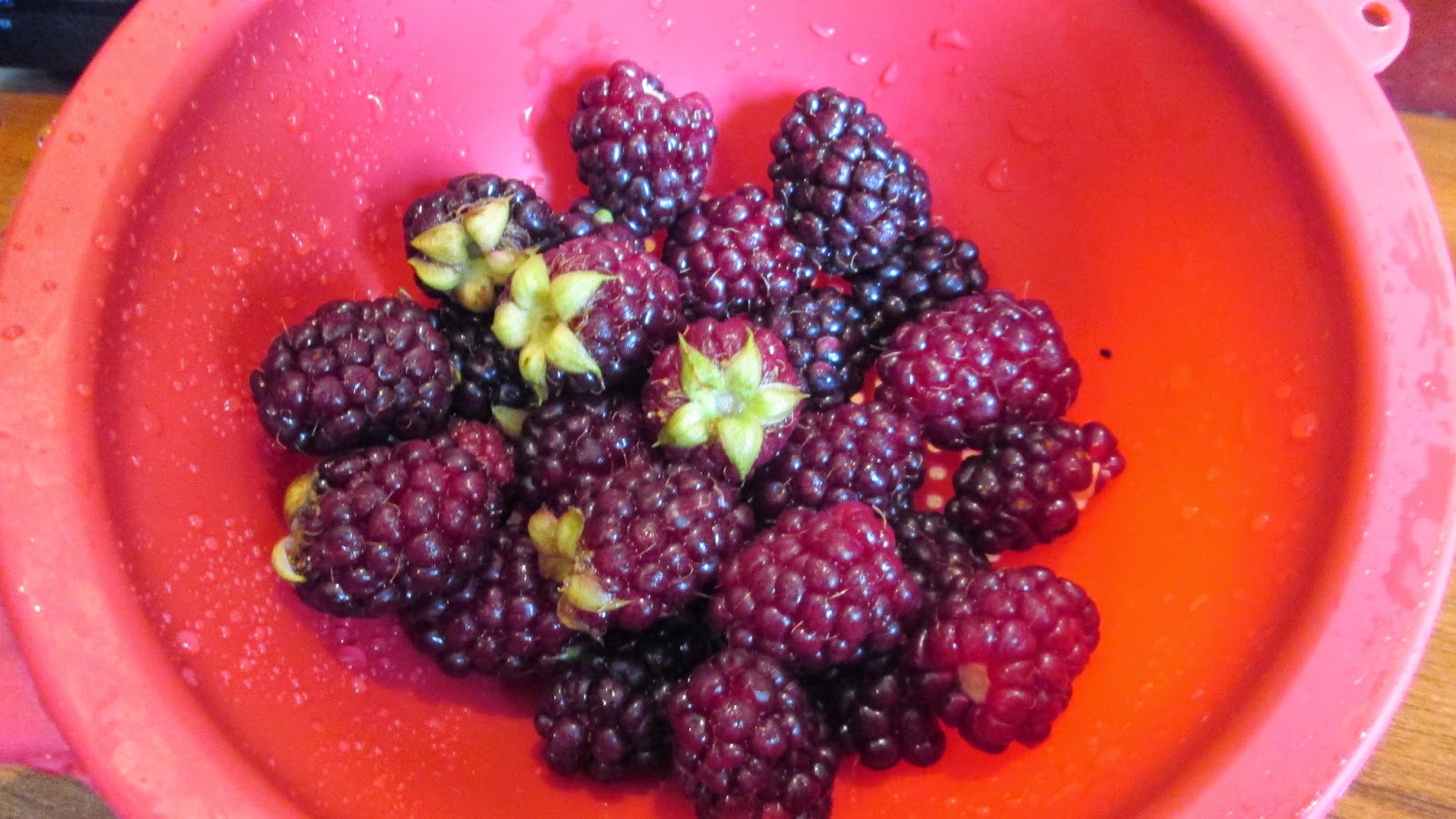 Tennessee Country Living Blossoms and Berries