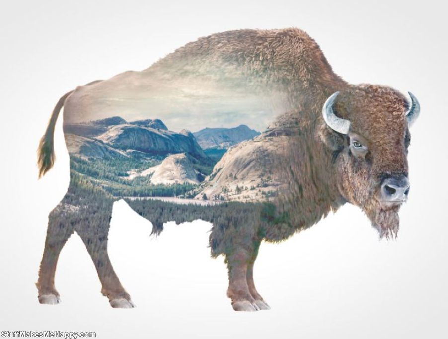 Double-Exposure Animal Portraits: Amazing Photo Superposition of Nature and Animals