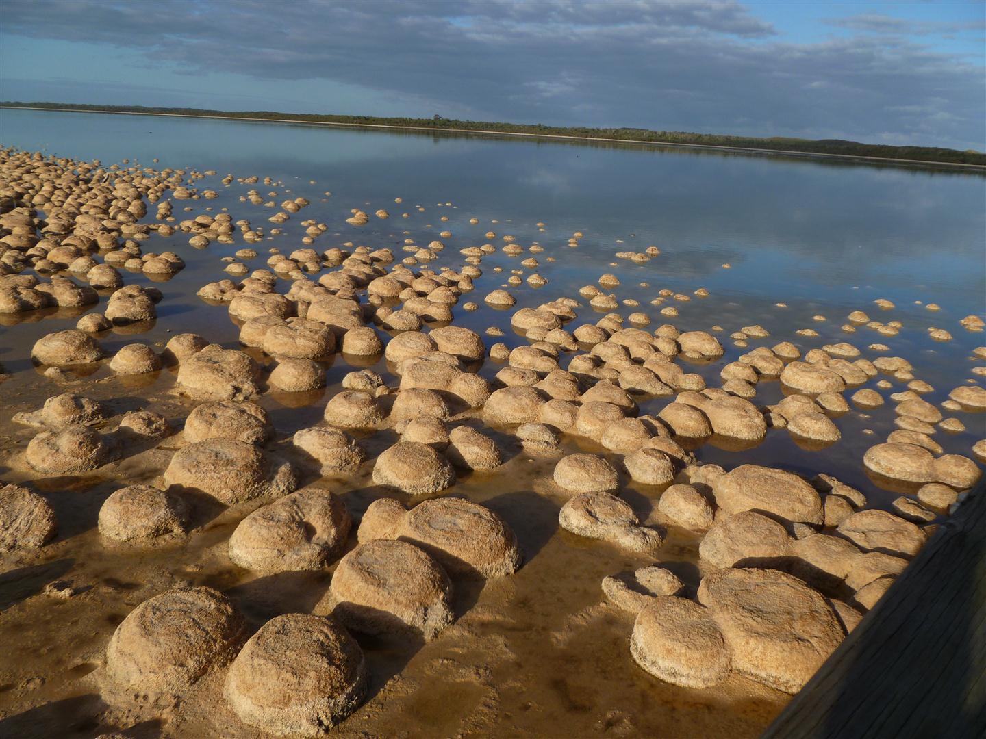 This and That, Here and There Rocks 4 Lake Clifton Thrombolites This and That, Here and There Rocks 4 Lake Clifton Thrombolites
