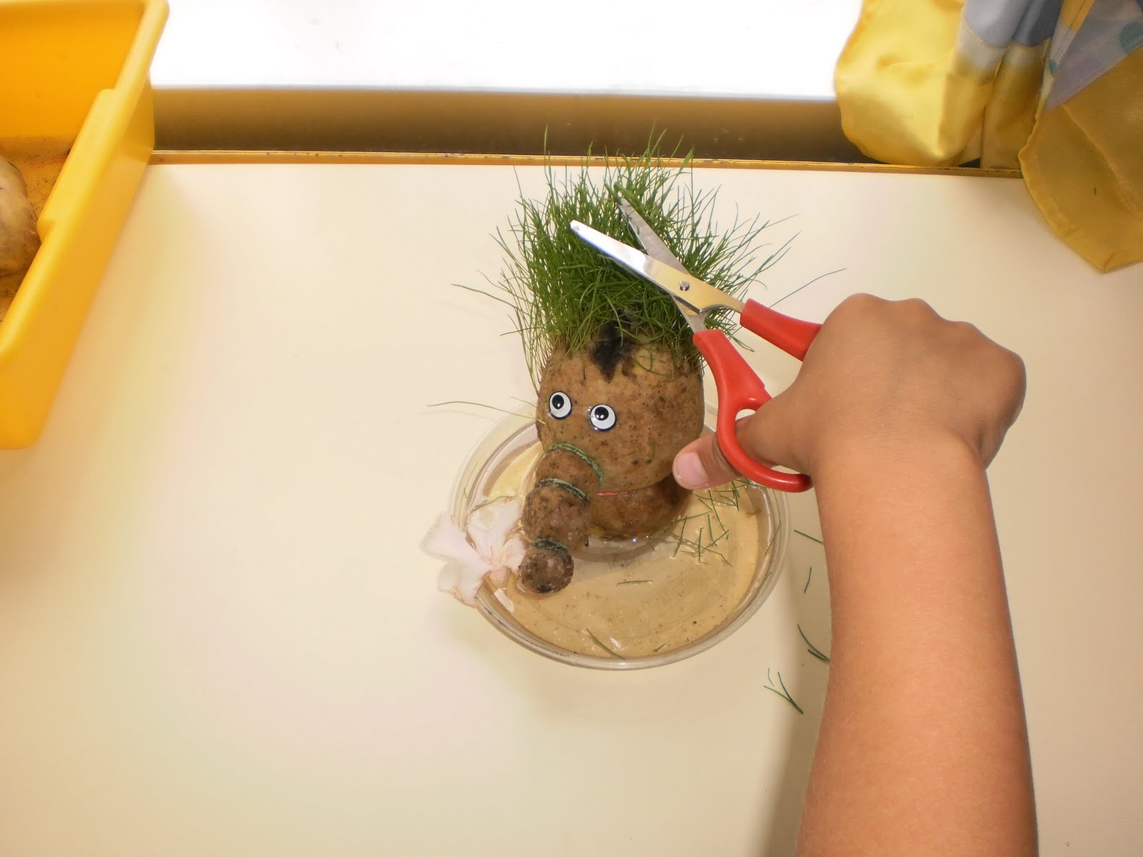 EL LAPIZ: Taller de las Plantas - Cespino Oso 2