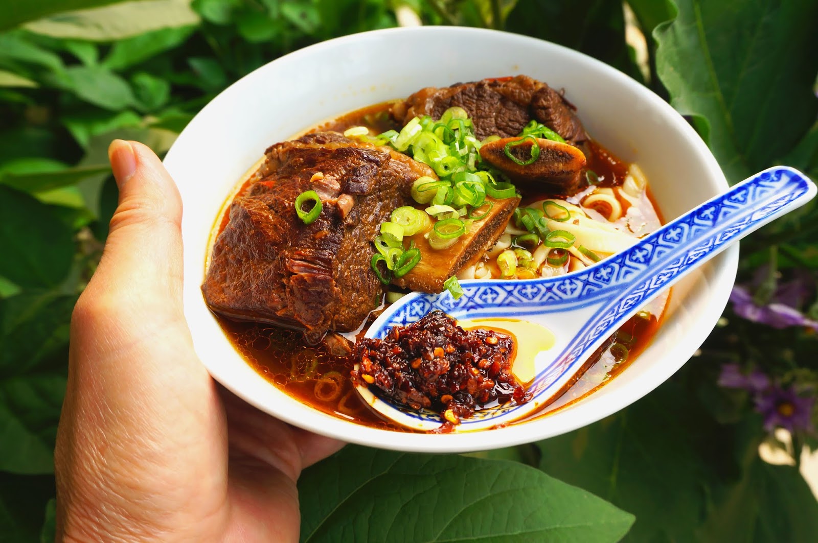 Braised Beef Noodle Soup