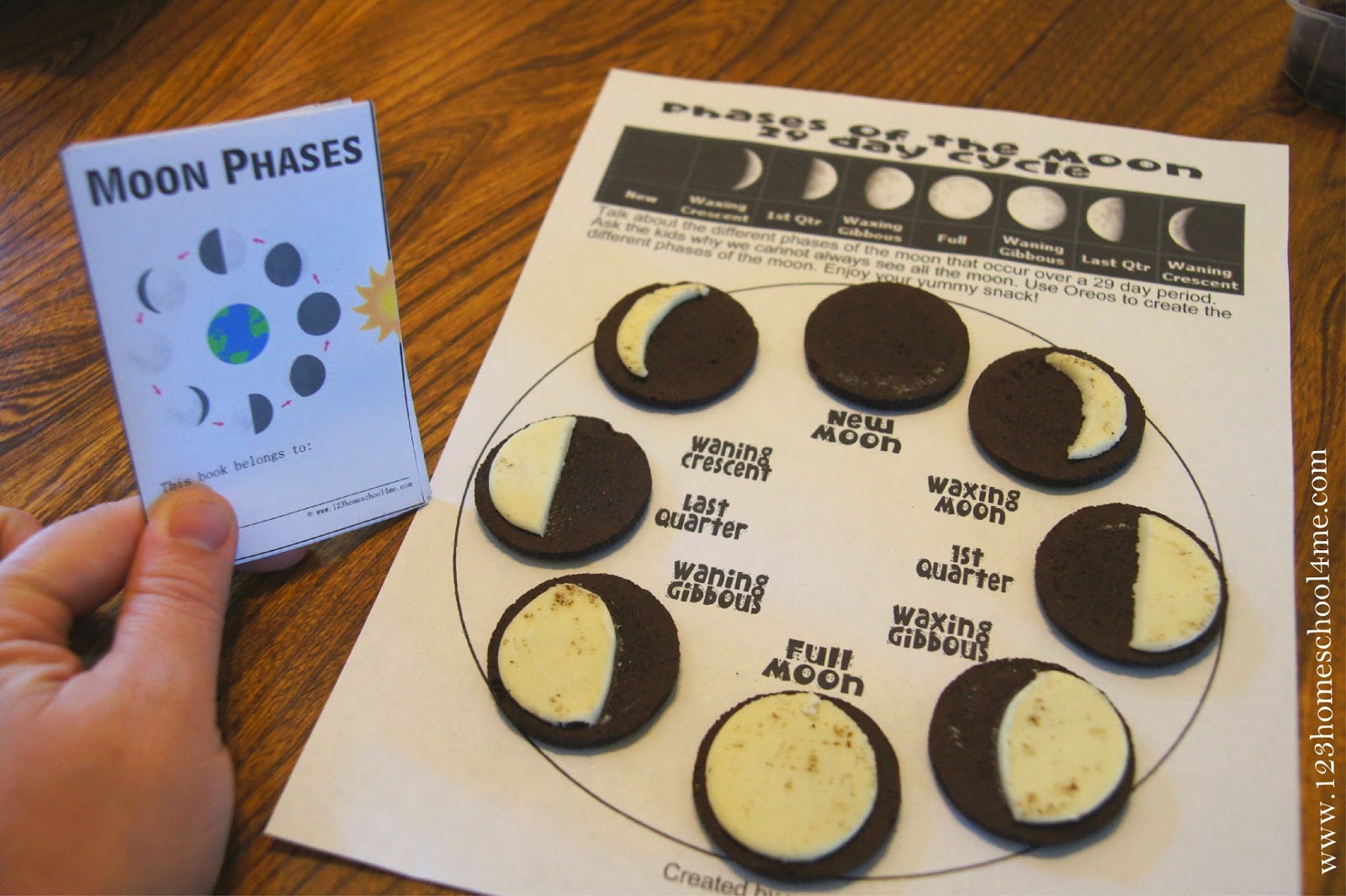 FREE MOON PHASES MINI BOOK instant Download 