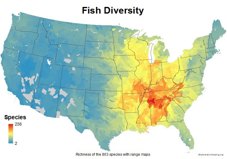Fish diversity