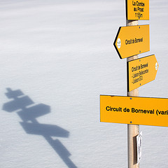 A photograph of a signpost and its shadow.